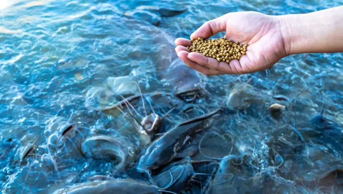 1763772793823369AGma.jpg 190bd5310581ad4e7cfcce5a845b42ea.jpg