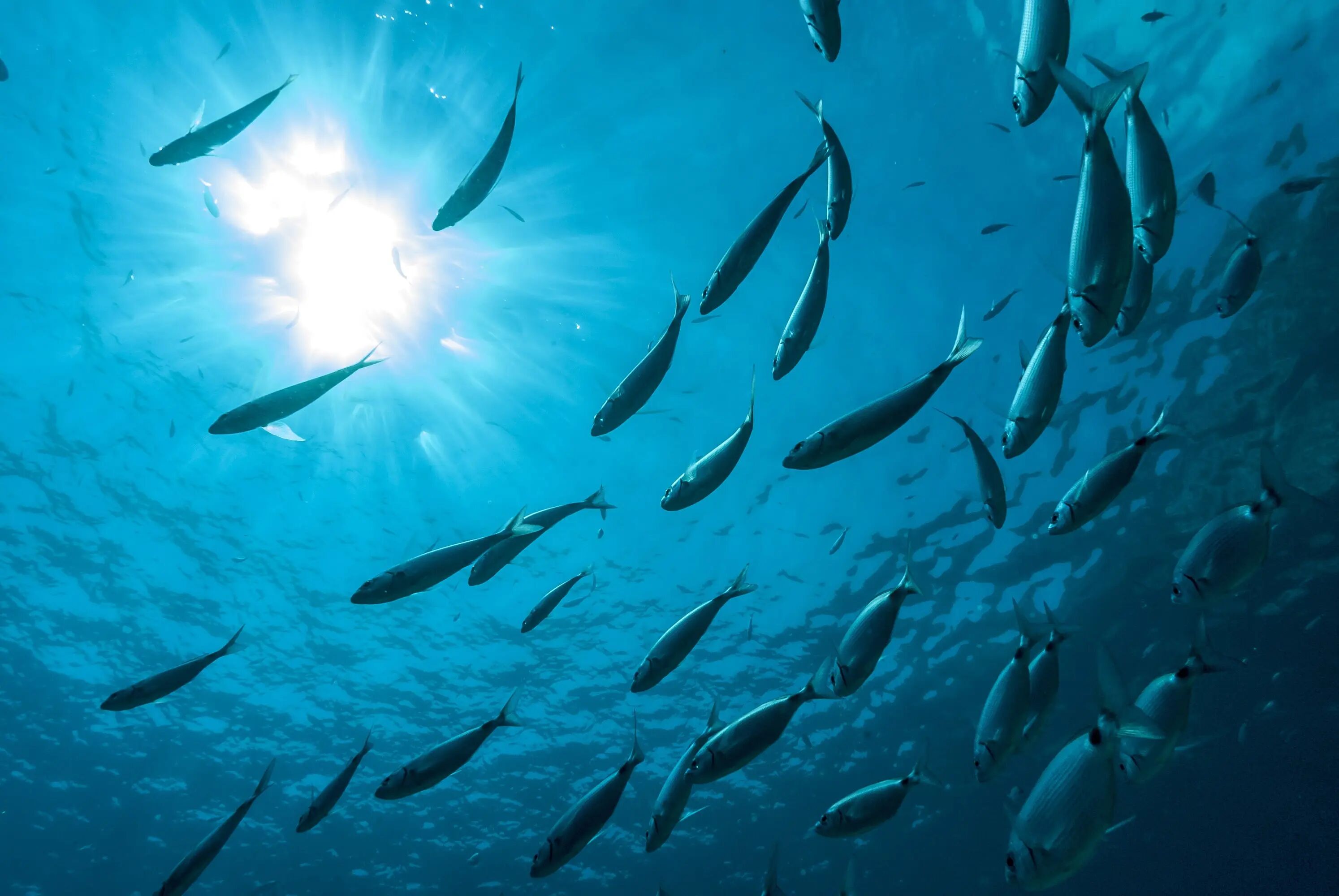 1763772829694290Xzc8.jpg cfe53bd449e97e3247d6d79ce5dbaac2.jpg